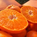 대은농장 이미지