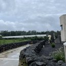 서광별서 이미지