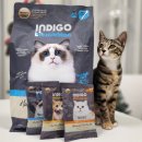 애이기바이오 | 인디고 바이오뉴트리션 헤어볼 포 캣, 까다로운 입맛도 사로잡은 고양이헤어볼사료 솔직 후기