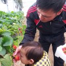 다우 농장 이미지