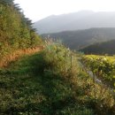 쇠골농장 이미지