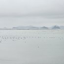 서부해안로(쉬미항) 이미지