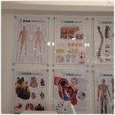 닥터아이티엔네일파라티