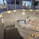 문정농장 | 송파 파크하비오 맛집 문정역 장지역 닭갈비 막국수 전문점 솔직후기