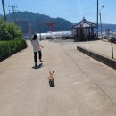 소근진성펜션 이미지