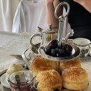 낙타(NAKTA) 이미지