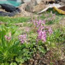 여난농장 이미지