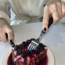 치즈포레스트 이미지