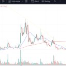 토모Tomo 이미지