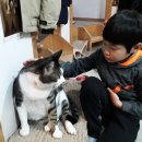 지구별고양이