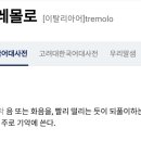 트레몰로커피웍스