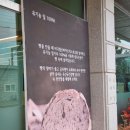 보성빵집 네이버블로그