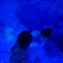 창의 미술놀이 이미지