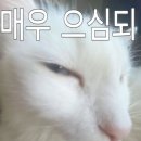 마선생국밥부산서면점 | [창원⁀➷부산] 3일차 - 이재모 피자 서면점에서 이제모 크러스트와 김치볶음밥, 카페 wed
