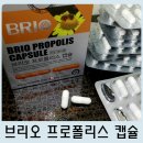 주식회사 에이비씨 | 캐나다 프로폴리스캡슐 :: 브리오 propolis로 건강관리하기~