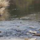 상대동 공영자전거무료대여소 이미지