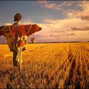 허수아비 이미지