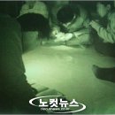 알파중부본부 이미지