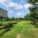 시민문화체육공원 산책로 이미지