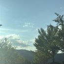 경주숲 1,2 | 경주 &amp; 대구 1박 2일 여행 후기 🏯🎢🍜 (경북청년숲정원,대릉원,황리단길 소옥, 첨성대, 동궁과 월지, 경주...