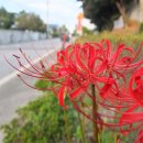 남산3리마을회관 이미지