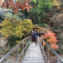 예덴농원 이미지