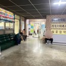 라파메디 이미지