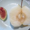 방아농장 이미지