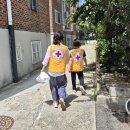 안양좋은적십자봉사회 이웃사랑 반찬나눔 조리 당번 이미지