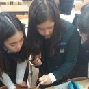 봉선중학교 이미지