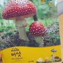 대구프뢰벨유치원 | 프뢰벨 센터수업후기