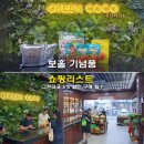 그린할인마트 남산점 | 보홀 기념품 선물 쇼핑리스트 그린코코 5% 할인 구매 팁
