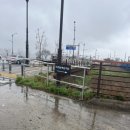 명성한의원 | 대추밭백한의원 : 4대원장님 네이버 예약 성공! 진료 후기 한약 복용법 쭈야의 임신 도전기