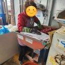 돌산젓갈상회 | 23년, 24년 통합 김장후기