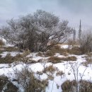 운송초교 이미지