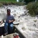 카프로모터 이미지