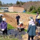 농기계임대사업소 작천분점 이미지