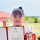 도초초등학교 이미지