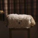 GS25한림오일장점 | 소규모게스트하우스｜제주도 서귀포게스트하우스 추천