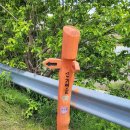 서림공원 1 이미지