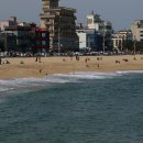 경포의휴일 이미지