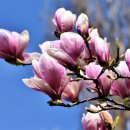 디지털프라자 구성점 이미지