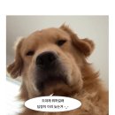 (주)아성다이소 송탄본점 | 9월 (1)