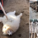 진실농장 이미지