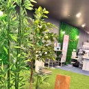 영 휘트니스존 이미지