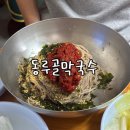 동루골막국수 | 강원도 현지인이 추천하는 고성 찐맛집 동루골 막국수 인생 막국수를 만난 후기