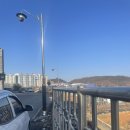 금촌중학교 | 파주 스타디움 2026 홈 개막전 관람 후기