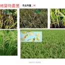 해피트리기술학원