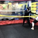 인복싱클럽 이미지