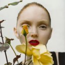 퍼스트페이스 이미지